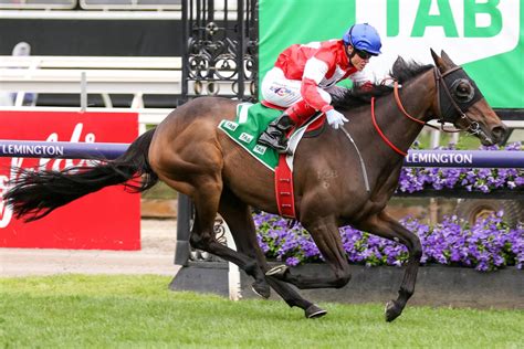 myer classic odds|Empire Rose Stakes Tips, Betting Odds, Past Winners .